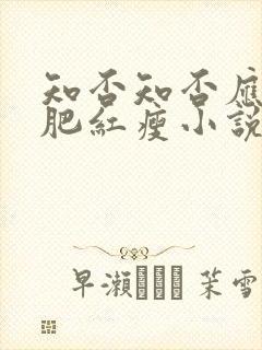 知否知否应是绿肥红瘦小说讲的什么