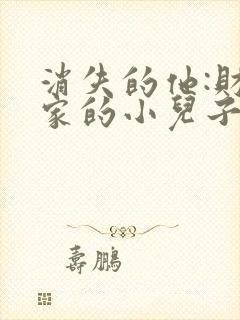 消失的他:财阀家的小儿子短剧