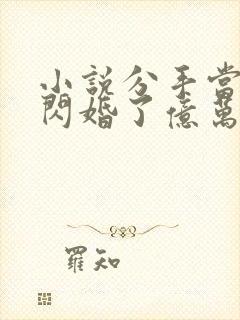 小说分手当天我闪婚了亿万富豪