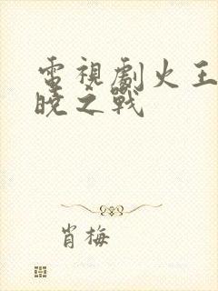 电视剧火王之破晓之战封面