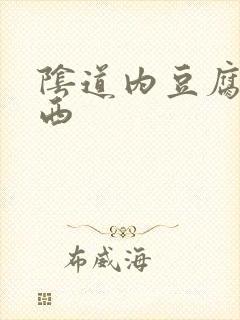 阴道内豆腐渣东西