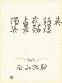 独占我的英雄哪集最劲爆