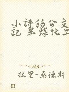 小诗的公交车日记 半煤化工