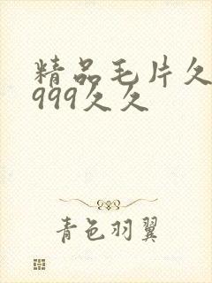 精品毛片久久久999久久
