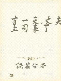 有一天,丈夫的上司来了