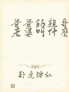 爸爸的亲哥哥的老婆叫什么称呼