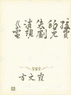 《消失的孩子》电视剧免费观看封面