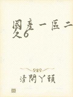 国产一区二区久久6封面