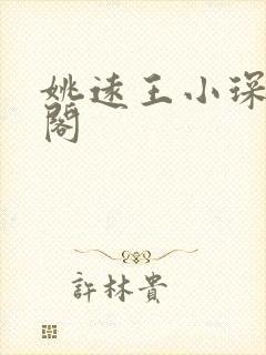 姚远王小琛笔趣阁封面