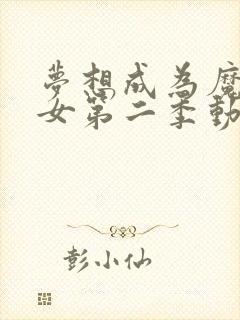 梦想成为魔法少女第二季动漫