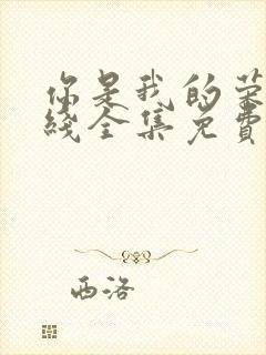 你是我的荣耀在线全集免费观看