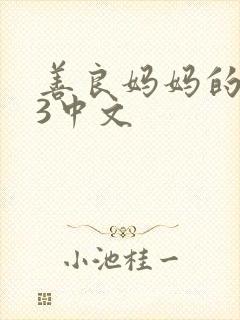 善良妈妈的朋友3中文封面