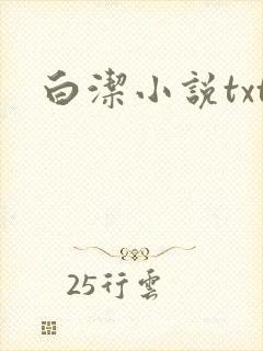 白洁小说txt