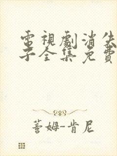 电视剧消失的孩子全集免费观看