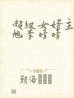 超级女婿主角赵旭李晴晴