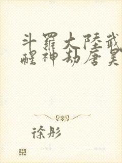 斗罗大陆武魂觉醒神劫唐昊