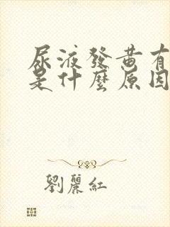 尿液发黄有泡泡是什么原因引起的?封面