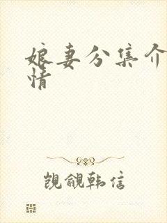 娘妻分集介绍剧情封面