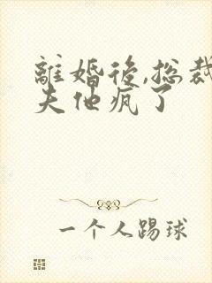 离婚后,总裁前夫他疯了