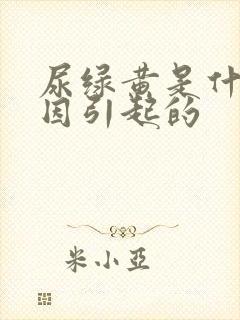 尿绿黄是什么原因引起的封面