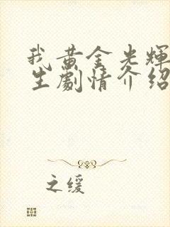 我黄金光辉的人生剧情介绍