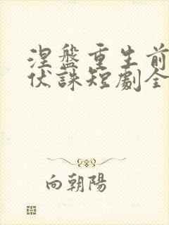 涅盘重生前夫请伏诛短剧全集免费观看