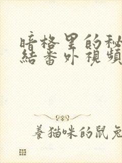 暗格里的秘密完结番外视频