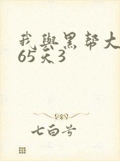 我与黑帮大佬365天3