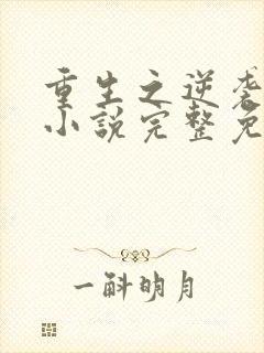 重生之逆袭人生小说完整免费