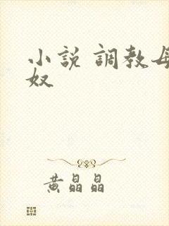 小说 调教母狗奴