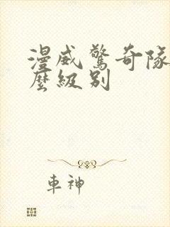 漫威惊奇队长什么级别