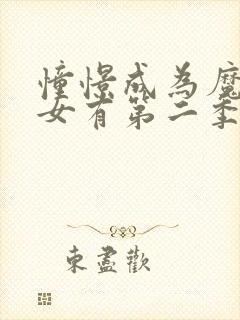 憧憬成为魔法少女有第二季