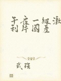 午夜一级激情福利片国产