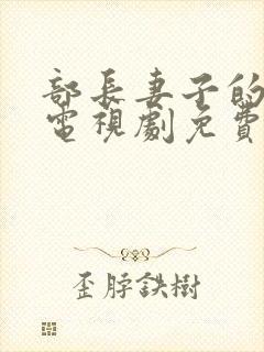 部长妻子的秘密电视剧免费观看