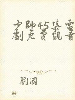 少帅45集电视剧免费观看