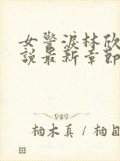 女警泪林欣儿小说最新章节更新内容