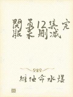 闵勇12集完整版未删减