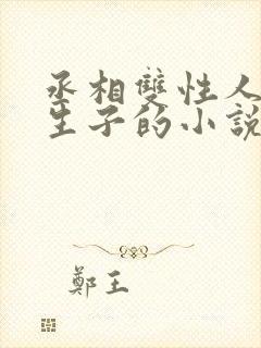 丞相双性人是受生子的小说