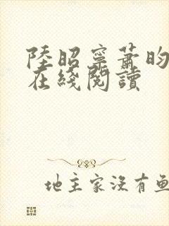 陆昭宁萧昀小说在线阅读封面