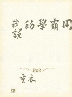 我的学霸同桌小说