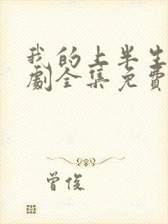 我的上半生电视剧全集免费观看封面