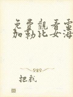 免费观看电影《加勒比女海盗》