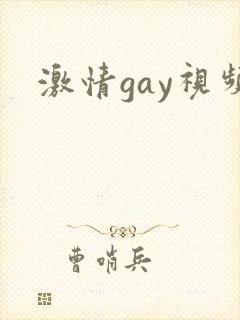 激情gay视频