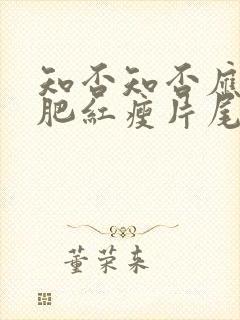 知否知否应是绿肥红瘦片尾曲封面