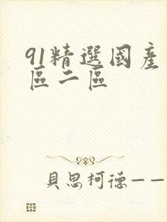 91精选国产一区二区