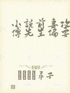 小说前妻攻略:傅先生偏要宠我