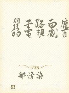 翟子路白鹿演过的电视剧有哪些