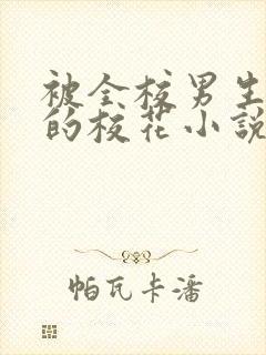 被全校男生围观的校花小说最新章节