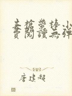 夹枪带棒小说免费阅读无弹窗笔趣封面