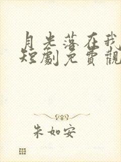 月光落在我身上短剧免费观看封面